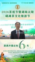 倒计时6天｜赴沅陵之约，品千年碣滩贡茶