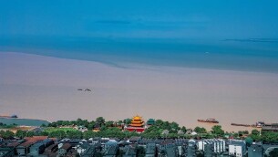 45年，数百万次快门：他用镜头守护一片湖的归来