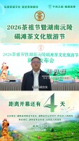 倒计时4天｜赴沅陵之约，品千年碣滩贡茶