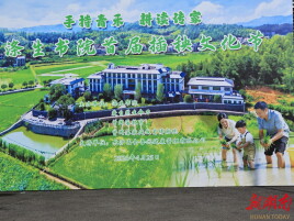 “手持青禾 耕读传家”——涤生书院开展首届插秧文化节