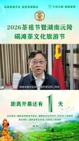 倒计时1天｜赴沅陵之约，品千年碣滩贡茶