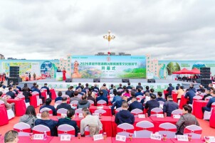 2026茶祖节暨湖南沅陵碣滩茶文化旅游节开幕