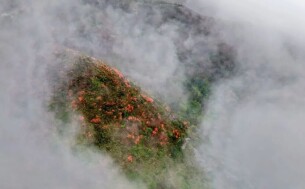 暮春的湖南有多美？雨洗青山，云涌成海