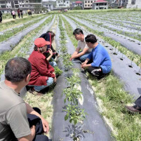 牵线搭桥送技上门 产业托底就业有路——临湘市羊楼司镇为残疾人铺就增收新路径​