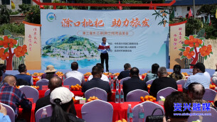 资兴：又闻“黄金果”飘香！第三届东江湖（滁口）枇杷品鉴会启幕