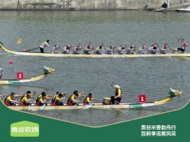 袁谷农场携手湖南龙舟联赛，以米之力共筑拼搏之路