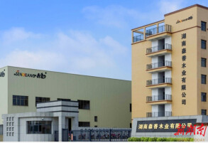 湖南森香木业开展安全生产专项行动 筑牢安全发展坚固防线