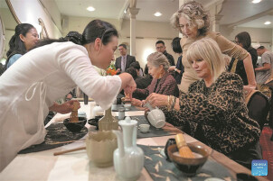 Salon and music strengthen Sino-New Zealand friendship