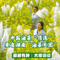 大咖访谈丨中国油菜“顶流”来自湖南“油菜天团”