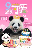 “9”是很可爱！轮胎公主壮壮9岁生日趴，文创礼包限量免费送～