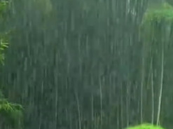 湖南迎持续性强降雨，多流域或将出现洪水过程
