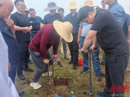 技术骨干田间“充电”，望闻问切为耕地“体检”
