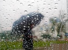暴雨+大雾双预警！今天全国多地将迎强降雨