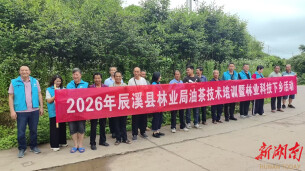 辰溪县桥头溪乡：科技赋能油茶产业 培训助力群众增收