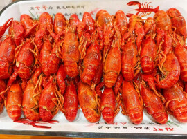 虾鲜密语——西湖稻野寻虾记