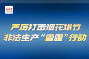 专栏｜严厉打击烟花爆竹非法生产“雷霆”行动