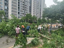 除隐患护平安！天心区披塘村集中开展安全整治行动