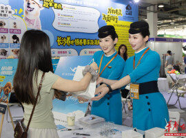 创新出行服务落地长沙 厦门航空推出“宠物进客舱”出行新体验