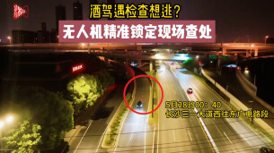 无人机“上线”破案！长沙一司机刚想靠边停车逃避检查，下一秒就被锁定