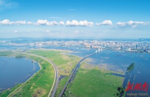 一叶江湖——写在2026年六五环境日“全面绿色转型，共建美丽中国”之际|湘江副刊·潮头