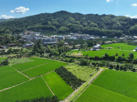 从“薄弱村”到“百万强村”！看洪江市这个社区如何用党建钥匙打开产治融合密码