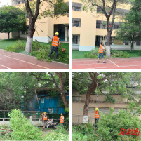 情暖特校校园 修枝筑牢安全防线  永州市冷水滩区环卫和园林中心守护特校师生“头顶安全”