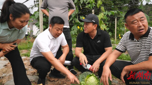 【科技活动周】鹤城区：科技下乡助生产 专家赋能促振兴