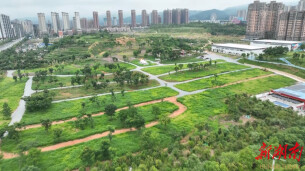 闲置地变“打卡地” 城市更新“秀”出新风景