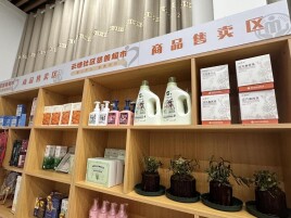 党建搭台引资源 “阳光集市”进社区拓宽“妈妈岗”增收路