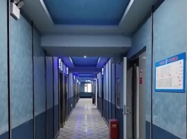 中央考核巡查组专家：你们的管理人员都在这做样子，没有人去管！