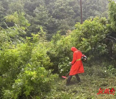 闻“汛”而动 临湘桃林镇干群坚守一线筑牢防汛安全堤