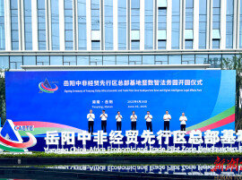 让企业站“C位”！岳阳临港高新区“企业服务年”行动观察@湖南日报特稿