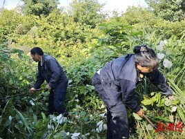 三十六载守林情，夫妇共护“绿长城”