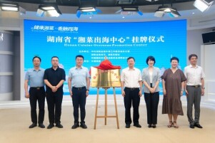 湖南省“湘菜出海中心”挂牌成立，湘菜出湘有了“国际导航”