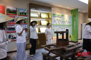把美学种进靖港茶垄里 湖南师大美院学子开展三下乡活动