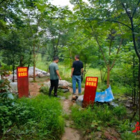 向绿而行 溆浦县龙潭镇“治养”并举筑牢生态屏障
