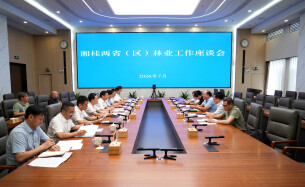 广西壮族自治区林业局来湘调研林业工作