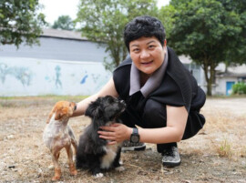 6年公益长跑，她为4000多只流浪犬点亮回家路