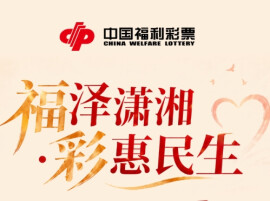 一图了解 | 2025年湖南福彩公益金使用情况