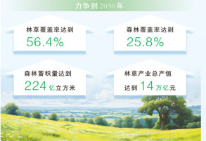 四部门印发规划——推进“十五五”林草保护利用