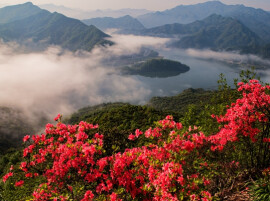 旅行从看风景转向买情绪 “情绪文旅”为何成万亿级新风口