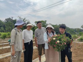 深耕资阳兴木槿 专业赋能助振兴