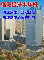 衡阳经济半年报：骨正筋柔，坚定扛起省域副中心历史担当