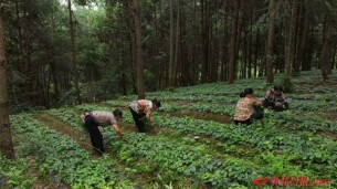 会同积极探索生态产品价值实现新路径
