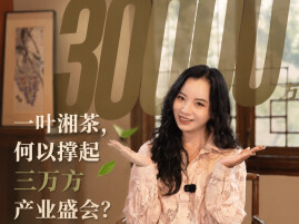 一叶湘茶，何以撑起三万方产业盛会？