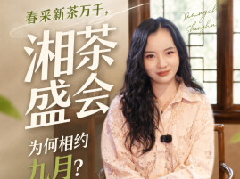 春采新茶万千，湖南茶博会为何相约九月？