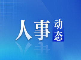 湖南省人民政府任免工作人员