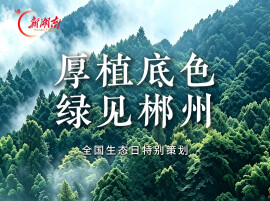 8.15全国生态日系列海报丨厚植底色 绿见郴州