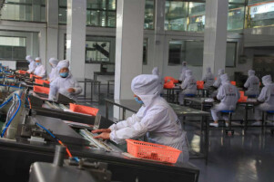 “新晃黄牛产业工”：一头牛牵出2万人的致富路