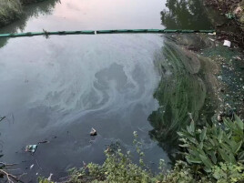 岳阳一水库水体异常，当地立即启动应急处置！